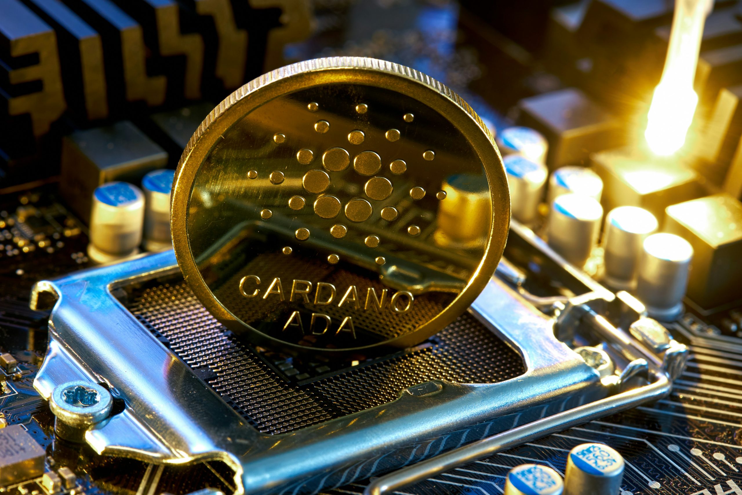 Phần cứng ASIC chuyên dụng cho việc đào Bitcoin, thể hiện vai trò của máy đào trong hệ sinh thái blockchain.